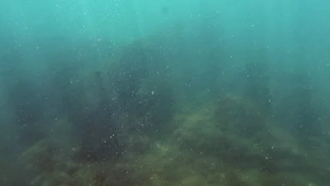 Explore the vibrant underwater life, spotlighted by sun, in slow-motion. Stock Footage 250160658