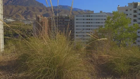 Explore the views of Benidorm with city buildings, mountains, and trees on a cle Stock Footage 337151949