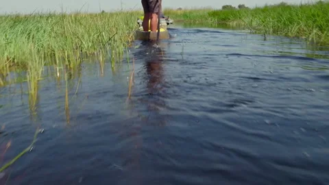 Explore the waters of Okavango Delta by canoe in Africa Stock Footage 327674687
