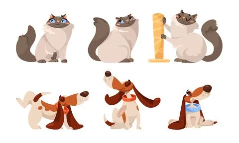 Explore the whimsical world of Cartoon Cats and Dogs Playful pet characters that Stock Illustration