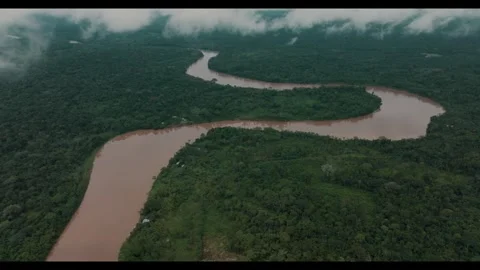 Explore the winding river in a lush green forest landscape Stock-Footage 320303951