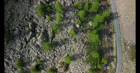 Explore the winding road by the serene river in the lush mountains during a Video stock 314083544