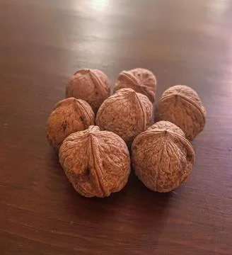 Explore the world of walnut seeds Stock Photos