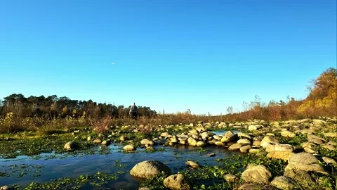 Explorer along the stream in the natural park Stock Footage 279374587
