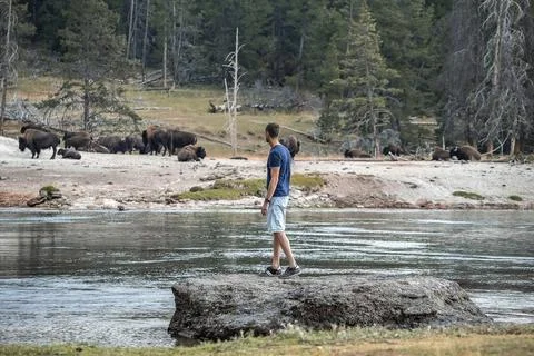 Explorer looking at bison while standing by lake in famous Yellowstone park Stock Photos