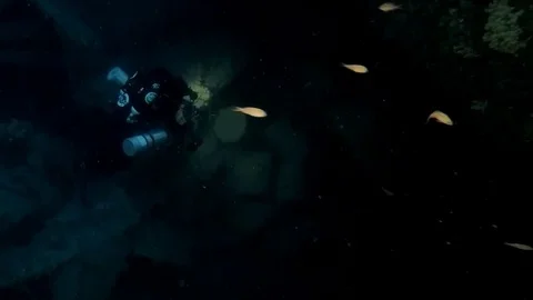 The explorer of mystery Stock Footage 81706148