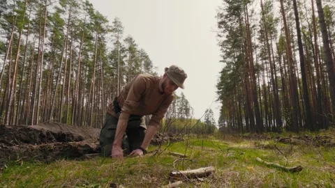 Explorer observing insects on a branch in the forest on a sunny spring day Stock Footage 316301592