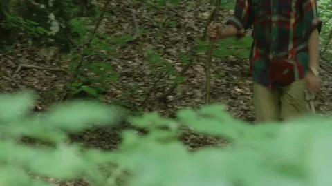 Explorer shall forward on a path through the green forest, dressed in Stock Footage 71337684