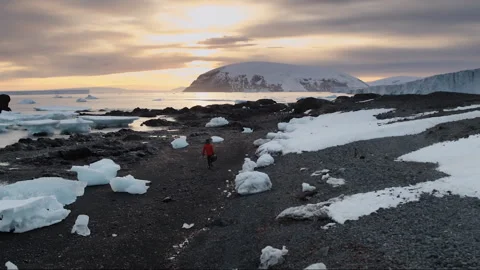 Explorer walking on an arctic beach with icebergs and penguins Stock Footage 334988475