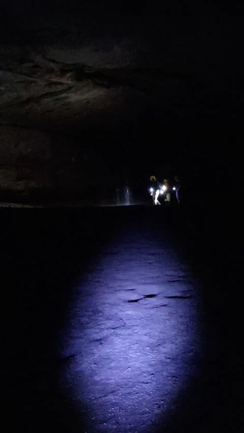 Explorers in cave with flashlights and dripping water during underground tour 스톡 동영상 310142907