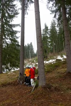 Explorers navigate the snowy forest landscape as solitude invites adventure.. Foto stock