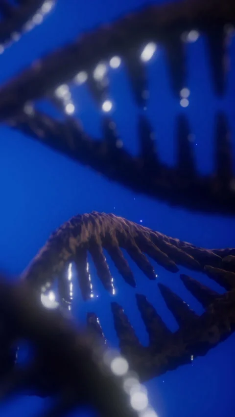 Exploring a 3D representation of DNA structure in a dark blue background Stock Footage 334884554