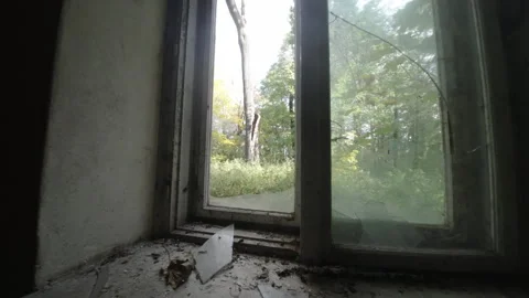 Exploring an Abandoned and Overgrown Manor - Hidden History and Forgotten Stock Footage 278651266