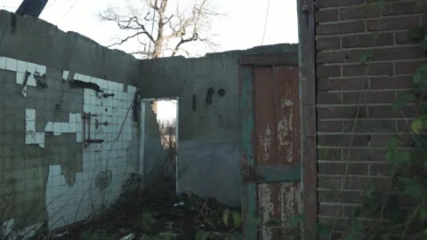 Exploring an abandoned building with overgrown vegetation Stock-Footage 289663455