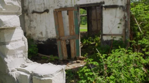 Exploring abandoned building with overgrown vegetation and ruined walls Stock Footage 291882855