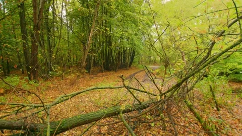 Exploring the Abandoned City of Pripyat, Chernobyl Exclusion Zone, Ukraine Stock Footage 316976237