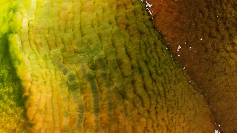 Exploring abstract forms with alcohol ink in a video art project Stock Footage 337800250