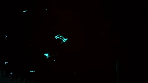Exploring Abstract Glowing Elements Set in a Dark Space Environment and Stock Footage 289332819