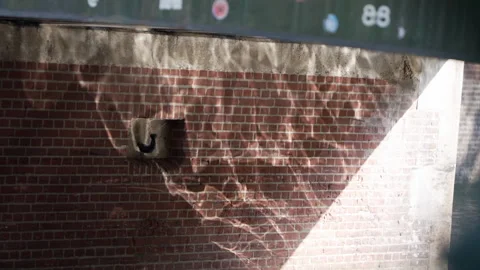 Exploring Abstract Light Patterns Projected on a Brick Wall Surface Stock Footage 309882690
