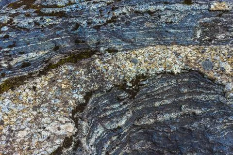 Exploring Abstract Natural Patterns Found on Stone Surfaces in Various 스톡 사진
