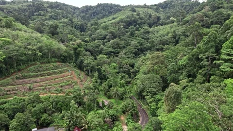 Exploring aerial views of Thailand's pristine natural landscapes Stockbeeldmateriaal 310556894