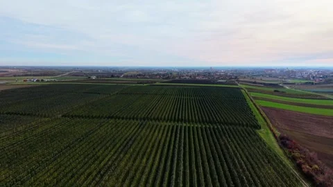 Exploring agricultural fields through aerial drone imagery at sunset Video stock 321545142