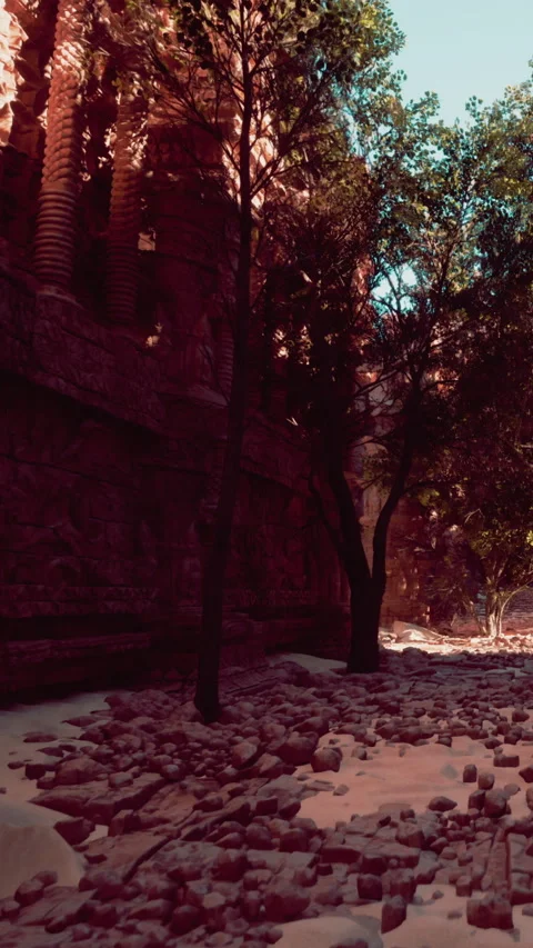 Exploring ancient ruins with trees and rocky path in bright sunlight Stock Footage 340875514