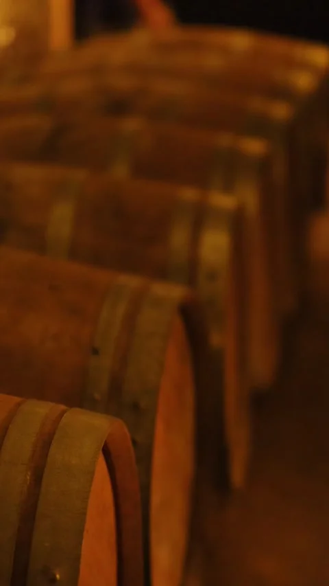 Exploring Ancient Wine Cellar in Bordeaux 動画素材 305211968