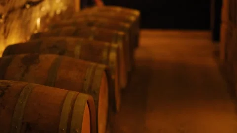 Exploring Ancient Wine Cellar in Bordeaux 動画素材 318954506