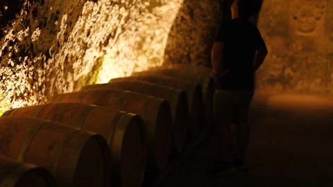 Exploring Ancient Wine Cellar in Bordeaux 動画素材 324838683