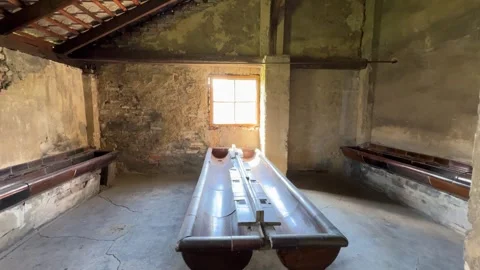 Exploring Auschwitz-Birkenau Museum Video stock 277298862