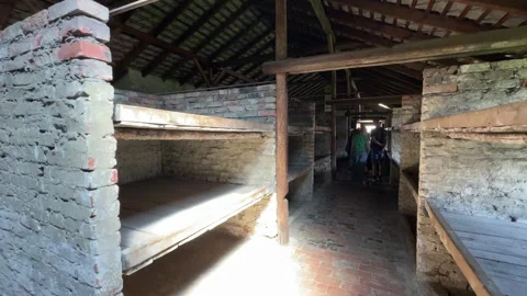 Exploring Auschwitz-Birkenau Museum Video stock 277298900