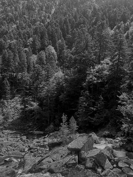 Exploring the beautiful forests and streams at Pont dEspagne in the Pyrenees Foto stock