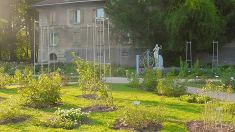 Exploring the beautiful rose garden in Parc de la Tête d'Or, Lyon, France at Stockbeeldmateriaal 292970995