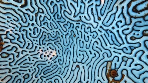 Exploring the beauty of abstract patterns in vibrant colors 動画素材 320388137