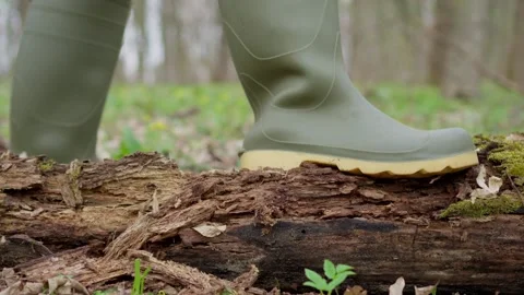 Exploring the Beauty of Nature Adventurously Walking on Logs While Wearing Stock Footage 306016275