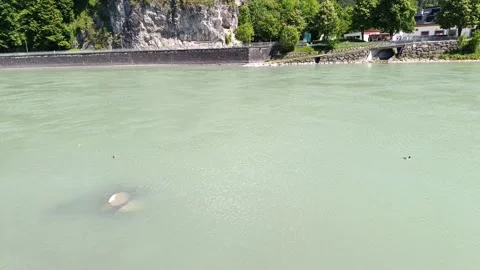 Exploring the beauty of the river landscape Stock-Footage 309054085