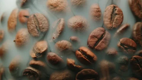 Exploring the beauty of roasted coffee beans in close-up detail Stock Footage 320363982