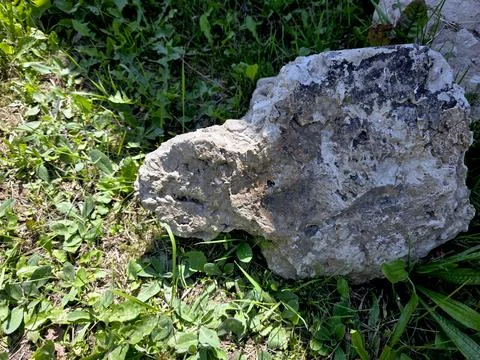 Exploring the Beauty of a Unique Grayish White Stone on Lush Green Grass Stock Photos