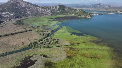 Exploring the breathtaking aerial views of Skadar Lake with its lush landscapes Video stock 287790601