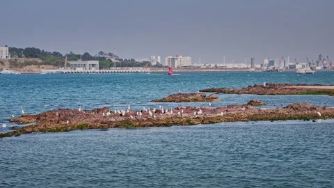 Exploring The Breathtaking Blue Seascape Of Huizhou Bay From Above 動画素材 324875341