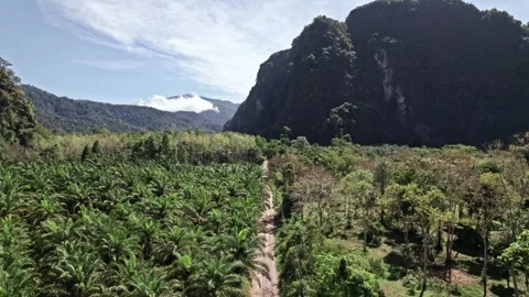 Exploring the breathtaking landscapes of Thailand's coastlines and valleys Stockbeeldmateriaal 310558129