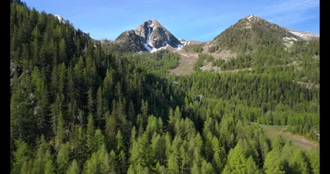 Exploring breathtaking mountains and lush forests in a serene wilderness escape Stockbeeldmateriaal 314083425