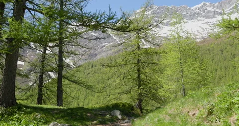 Exploring the breathtaking trails and lush greenery of majestic mountains under 스톡 동영상 314078134