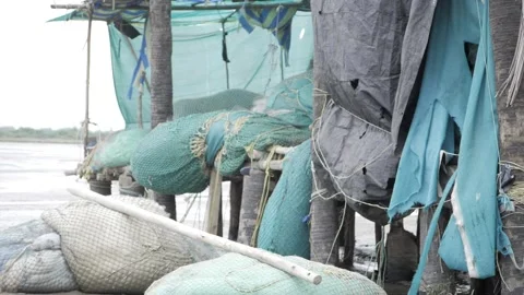 Exploring the Busy World of a Local Fish Market Stock Footage 320949752