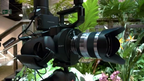 Exploring Camera Angles in a Lush Environment at Photokina 2012 스톡 동영상 309045270