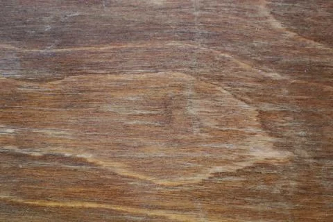 Exploring the captivating textures and grains of beautifully aged wood surfac Foto stock