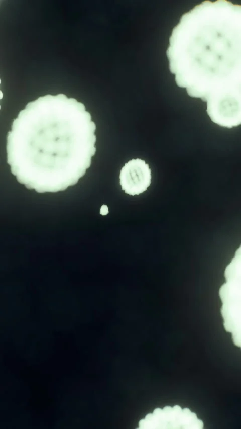 Exploring the captivating world of micro particles dancing in a dark space Stock Footage 324500189