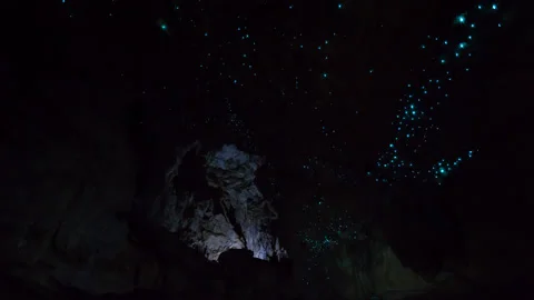 Exploring a cave full of glowworms in New Zealand Stock Footage 144082550