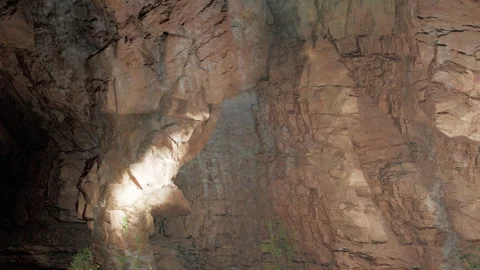 Exploring a cave with light illuminating the rocky wall and plant life Stock Footage 342047853